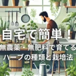 自宅で簡単！無農薬・無肥料で育てるハーブの種類と栽培法