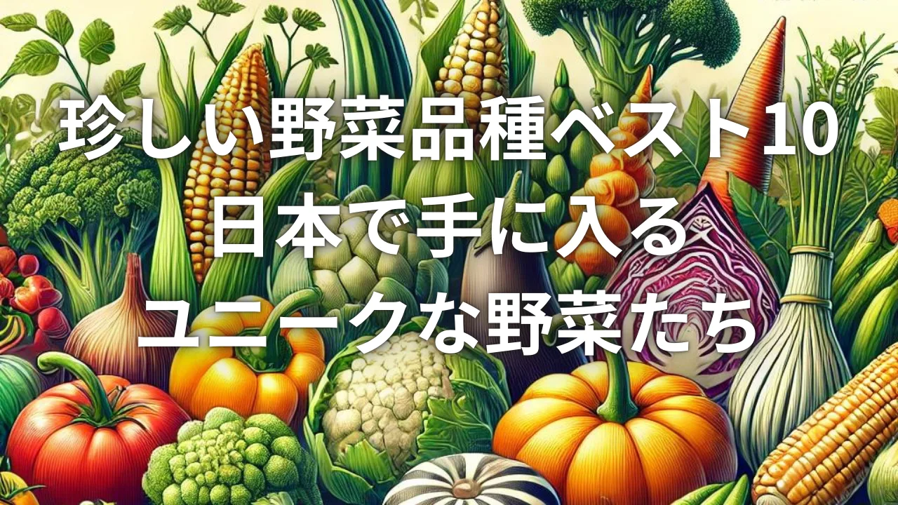 珍しい野菜品種ベスト10：日本で手に入るユニークな野菜たち