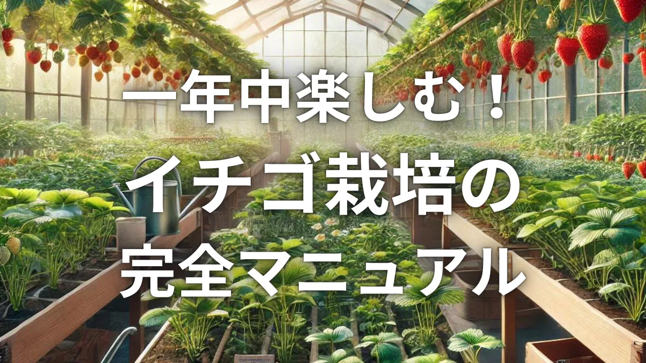 一年中楽しむ！イチゴ栽培の完全マニュアル