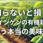 知らないと損！サヤインゲンの有機栽培で味わう本当の美味しさ