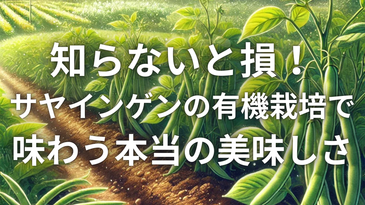 知らないと損！サヤインゲンの有機栽培で味わう本当の美味しさ