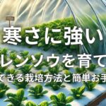 寒さに強いホウレンソウを育てよう：時短でできる栽培方法と簡単お手入れ術