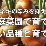 タマネギの辛みを抑える！家庭菜園で育てる甘い品種と育て方