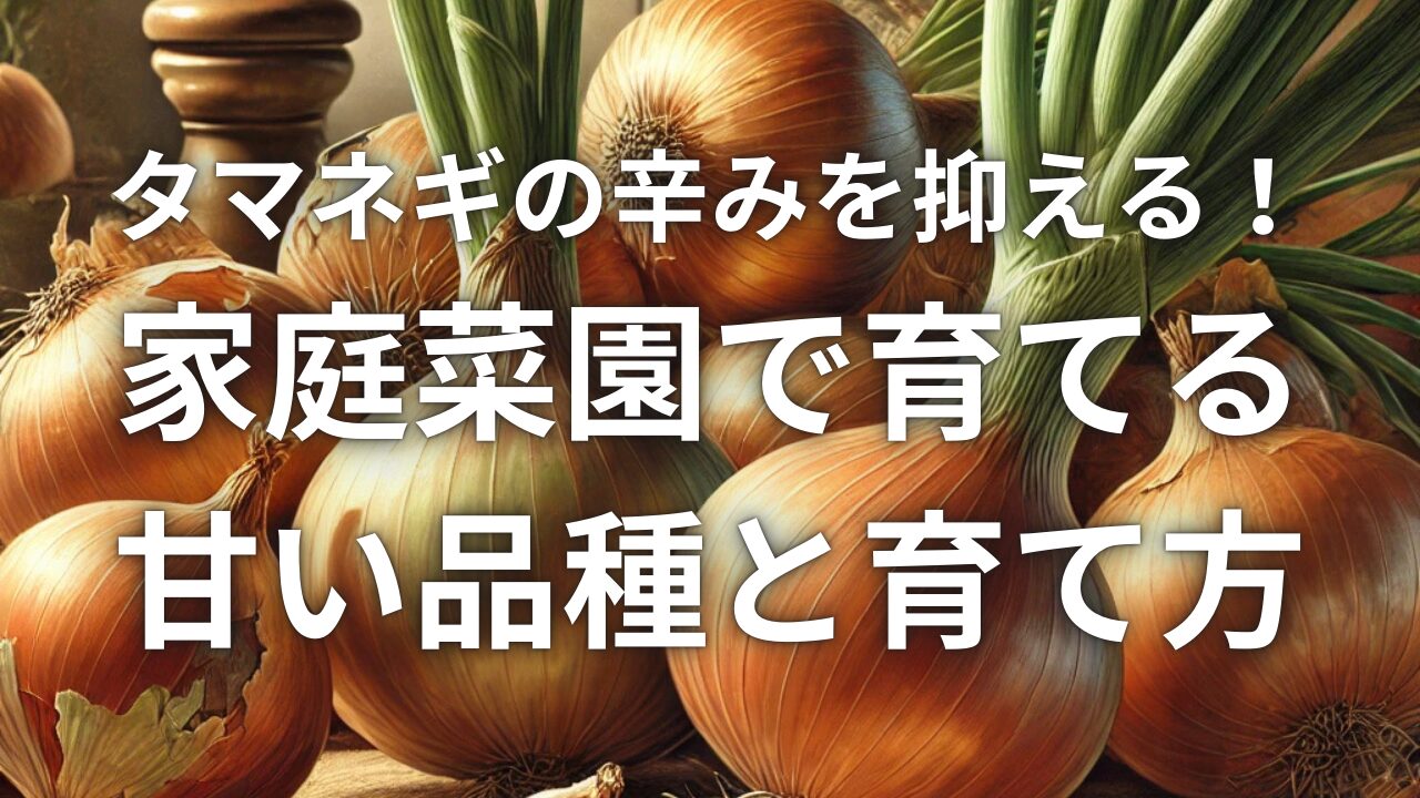 タマネギの辛みを抑える！家庭菜園で育てる甘い品種と育て方