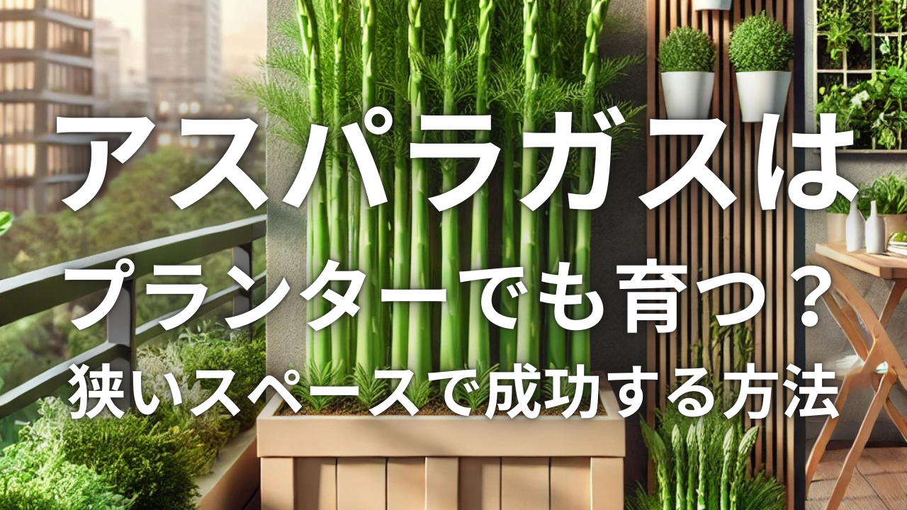  アスパラガスはプランターでも育つ？狭いスペースで成功する方法