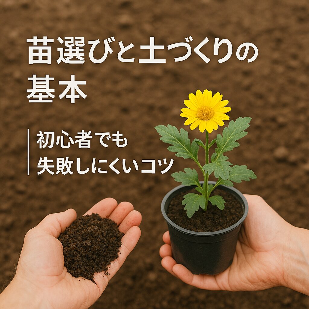 苗選びと土づくりの基本|初心者でも失敗しにくいコツ