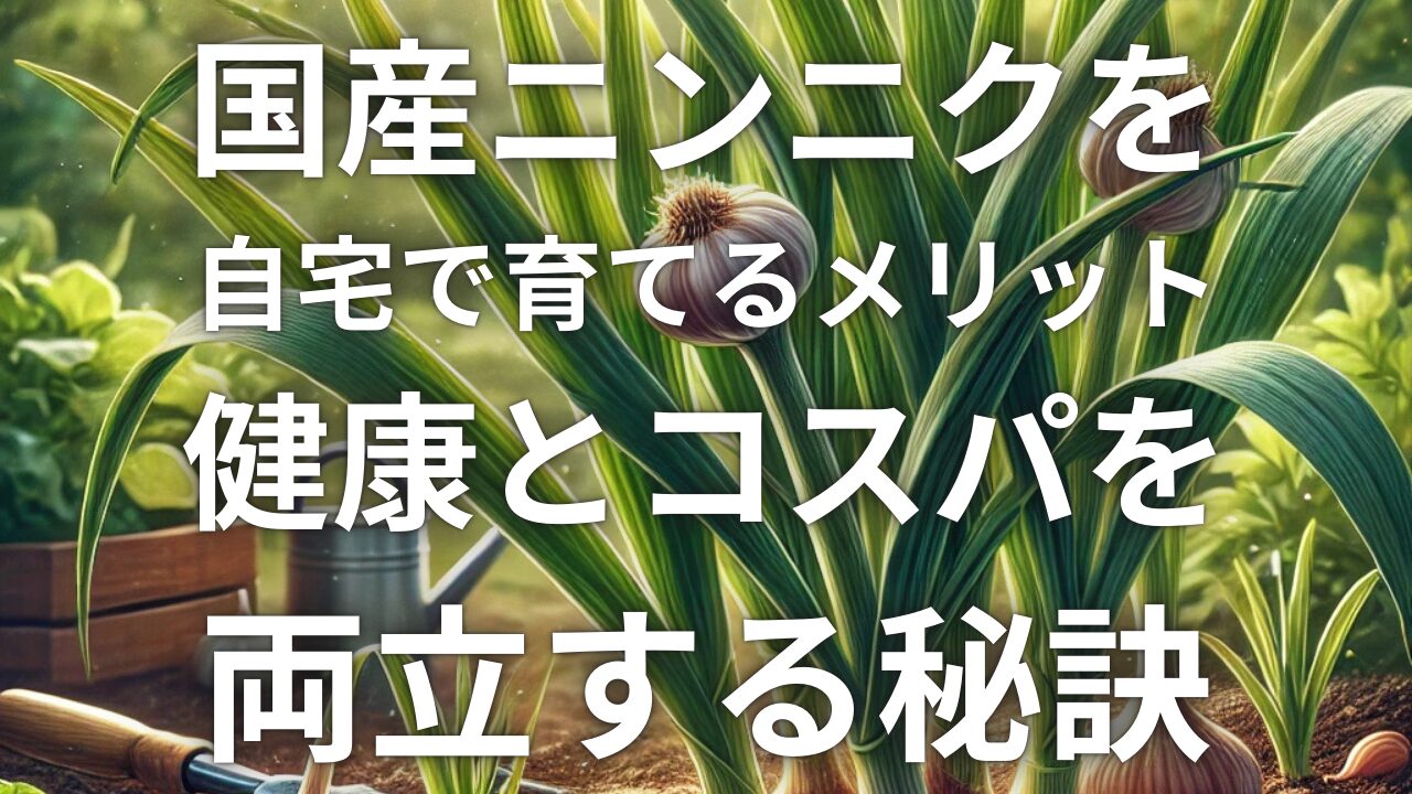 国産ニンニクを自宅で育てるメリット｜健康とコスパを両立する秘訣