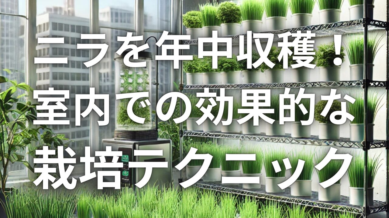 ニラを年中収穫！室内での効果的な栽培テクニック