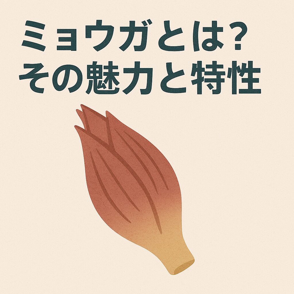 ミョウガとは？その魅力と特性