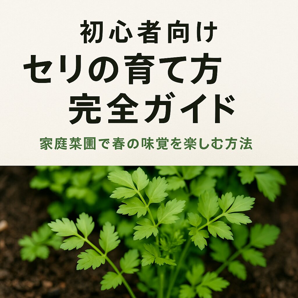 【初心者向け】セリの育て方完全ガイド｜家庭菜園で春の味覚を楽しむ方法