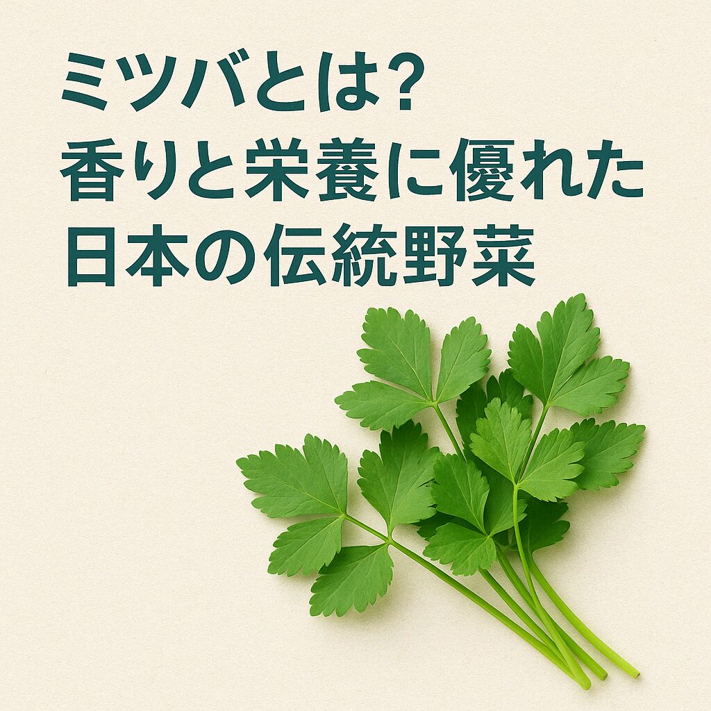 ミツバとは？香りと栄養に優れた日本の伝統野菜