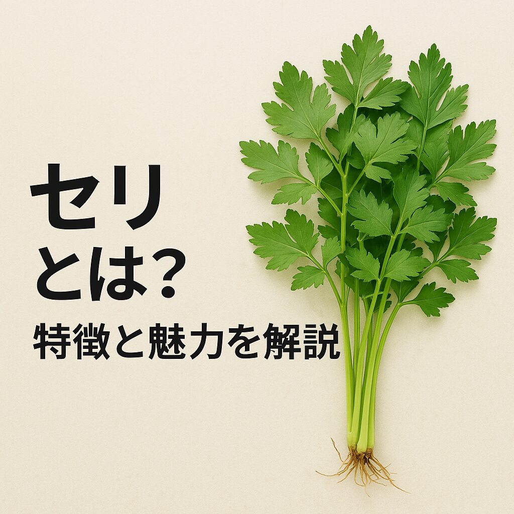 セリとは？特徴と魅力を解説