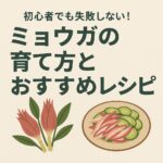 初心者でも失敗しない！ミョウガの育て方とおすすめレシピ
