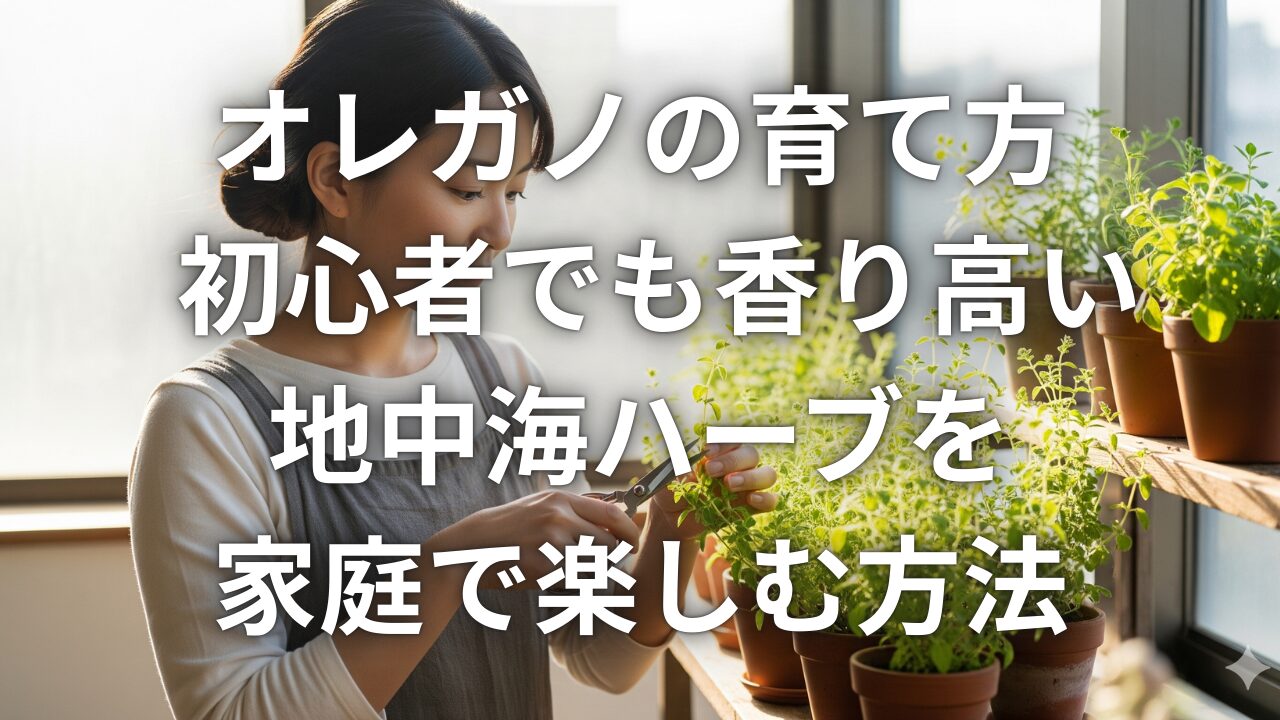 オレガノの育て方 初心者でも香り高い地中海ハーブを家庭で楽しむ方法