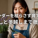 ラベンダーを枯らさず育てるコツ 夏越しと冬越しまで徹底解説