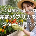 スーパーとは別物 フルーツ級の甘さ 完熟パプリカをプランターで育てる極意