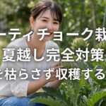 アーティチョーク栽培の夏越し完全対策 苗を枯らさず収穫する方法