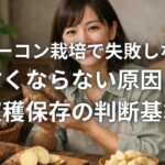 ヤーコン栽培で失敗しない 甘くならない原因と収穫保存の判断基準