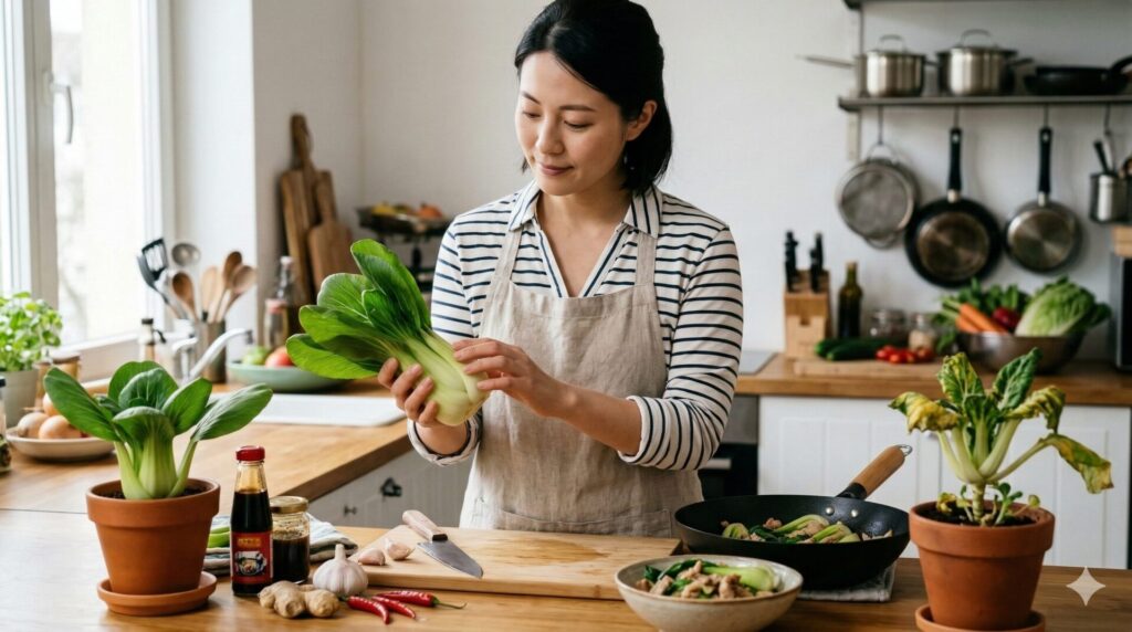 パクチョイとはどんな野菜 基本の特徴とアジア料理での役割