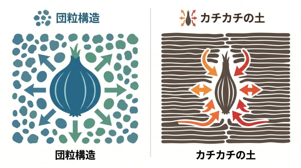 土壌コンディションによる成長の差