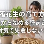 落花生の育て方 4月から始める種まきと鳥対策で失敗しないコ
