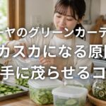 ゴーヤのグリーンカーテンがスカスカになる原因と上手に茂らせるコツ