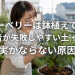 ブルーベリーは鉢植えで育つ？初心者が失敗しやすい土・水やり・実がならない原因
