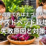 ビーツの育て方は土づくりで変わるレイズドベッド栽培の失敗原因と対策