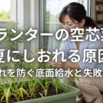 プランターの空芯菜が夏にしおれる原因 水切れを防ぐ底面給水と失敗サイン