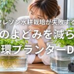 夏のクレソン水耕栽培が失敗する原因と水のよどみを減らす循環プランターDIY
