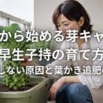 7月から始める芽キャベツ早生子持の育て方 結球しない原因と葉かき追肥の判断