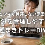 オカヒジキが発芽しない原因と対策 水分を管理しやすい種まきトレーDIY