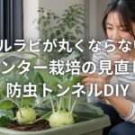 コールラビが丸くならない原因 プランター栽培の見直し方と防虫トンネルDIY