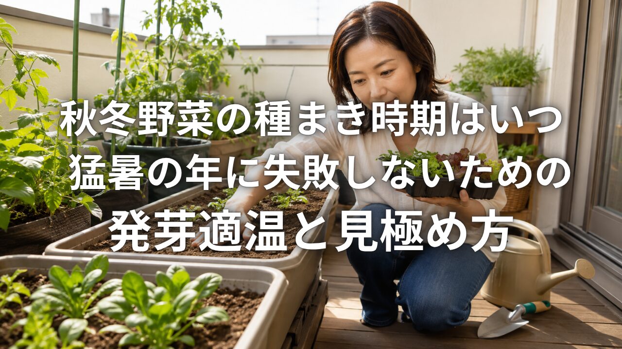 秋冬野菜,種まき,種まき時期,発芽適温,生育適温,地温,気温,猛暑,残暑,家庭菜園,ホウレンソウ,レタス,ニンジン,発芽不良,種まきカレンダー,秋野菜,冬野菜,播種適期,野菜栽培,発芽率