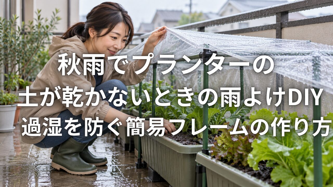秋雨でプランターの土が乾かないときの雨よけDIY 過湿を防ぐ簡易フレームの作り方