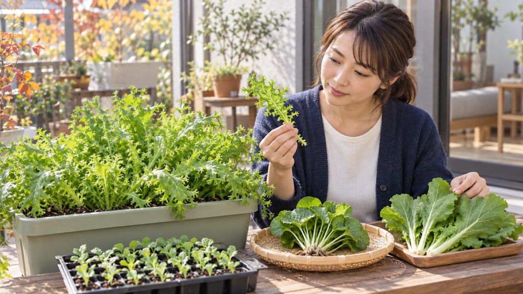 わさび菜とは わさびやからし菜との違いと秋まき栽培の特徴