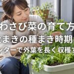 わさび菜の育て方 秋まきの種まき時期とプランターで外葉を長く収穫するコツ