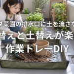 ベランダ菜園の排水口に土を流さない方法 植え替えと土替えが楽になる作業トレーDIY